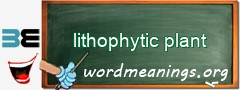 WordMeaning blackboard for lithophytic plant